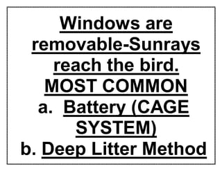 Windows are
removable-Sunrays
reach the bird.
MOST COMMON
a. Battery (CAGE
SYSTEM)
b. Deep Litter Method
 