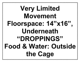 Very Limited
Movement
Floorspace: 14”x16”,
Underneath
“DROPPINGS”
Food & Water: Outside
the Cage
 