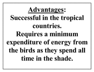 Advantages:
Successful in the tropical
countries.
Requires a minimum
expenditure of energy from
the birds as they spend all
time in the shade.
 