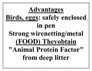 Advantages
Birds, eggs: safely enclosed
in pen
Strong wirenetting/metal
(FOOD) Theyobtain
"Animal Protein Factor"
from deep litter
 