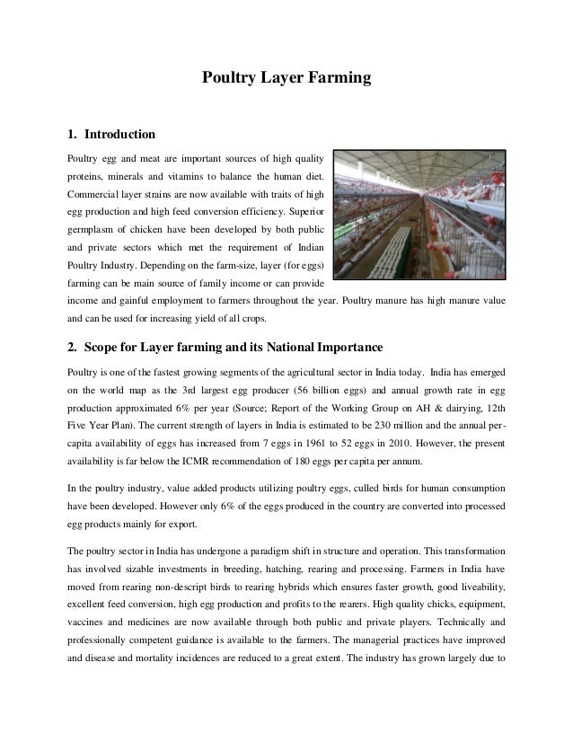 Download Poultry layer farming 20000 birds
