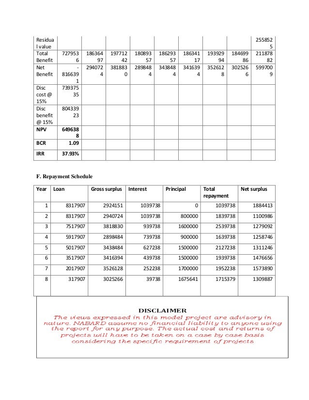 Poultry layer farming 20000 birds