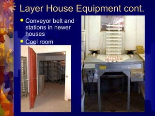 Layer House Equipment cont.
 Conveyor belt and
stations in newer
houses
 Cool room
 
