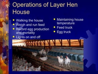 Operations of Layer Hen
House
 Walking the house
 Weigh and run feed
 Record egg production
and mortality
 Lights on and off
 Maintaining house
temperature
 Feed truck
 Egg truck
 