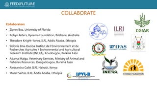 Poultry losses and One Health: Reducing losses and zoonotic risks along the poultry value chain through a One Health approach