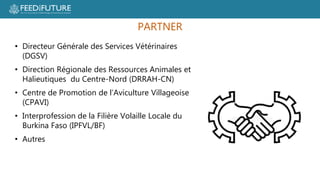 Poultry losses and One Health: Reducing losses and zoonotic risks along the poultry value chain through a One Health approach