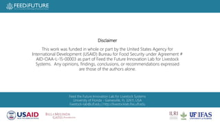 Poultry losses and One Health: Reducing losses and zoonotic risks along the poultry value chain through a One Health approach