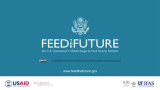 Poultry losses and One Health: Reducing losses and zoonotic risks along the poultry value chain through a One Health approach