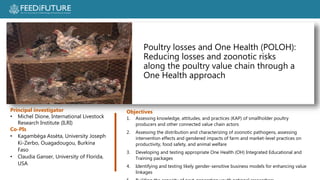 Poultry losses and One Health: Reducing losses and zoonotic risks along the poultry value chain through a One Health approach