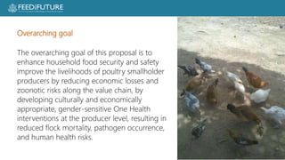 Poultry losses and One Health: Reducing losses and zoonotic risks along the poultry value chain through a One Health approach