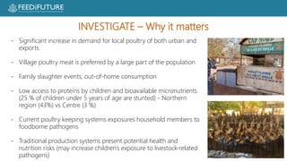 Poultry losses and One Health: Reducing losses and zoonotic risks along the poultry value chain through a One Health approach
