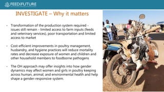 Poultry losses and One Health: Reducing losses and zoonotic risks along the poultry value chain through a One Health approach