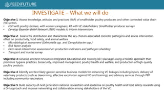 Poultry losses and One Health: Reducing losses and zoonotic risks along the poultry value chain through a One Health approach