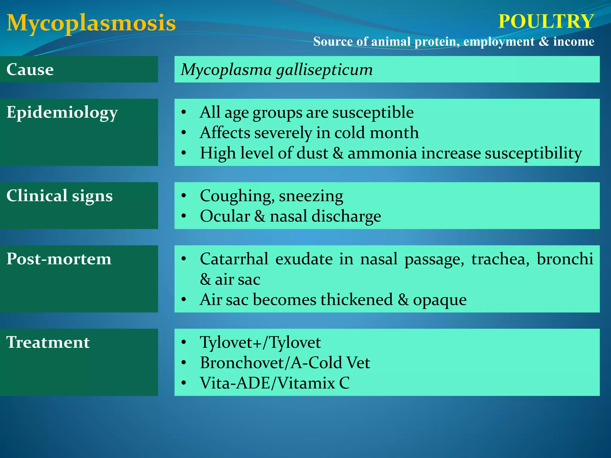 Poultry Management PPTX poultry-management-pptx