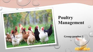 Poultry
Management
Group number 1
 