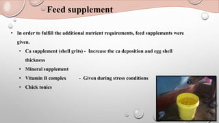 • In order to fulfill the additional nutrient requirements, feed supplements were
given.
• Ca supplement (shell grits) - Increase the ca deposition and egg shell
thickness
• Mineral supplement
• Vitamin B complex - Given during stress conditions
• Chick tonics
Feed supplement
 