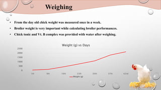 • From the day old chick weight was measured once in a week.
• Broiler weight is very important while calculating broiler performances.
• Chick tonic and Vt. B complex was provided with water after weighing.
Weighing
0
500
1000
1500
2000
2500
1th 9th 16th 23th 30th 37th 42nd
Weight (g) vs Days
Weight (g)
 