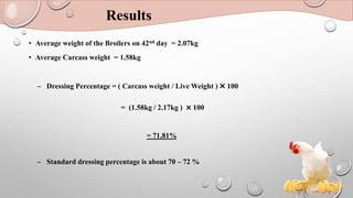 Results
• Average weight of the Broilers on 42nd day = 2.07kg
• Average Carcass weight = 1.58kg
– Dressing Percentage = ( Carcass weight / Live Weight )
˟100
= (1.58kg / 2.17kg )
˟100
= 71.81%
– Standard dressing percentage is about 70 – 72 %
 