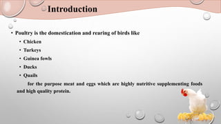 Introduction
• Poultry is the domestication and rearing of birds like
• Chicken
• Turkeys
• Guinea fowls
• Ducks
• Quails
for the purpose meat and eggs which are highly nutritive supplementing foods
and high quality protein.
 