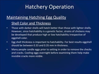 Hatchery Operation Maintaining Hatching Egg Quality Shell Color and Thickness Those with darker shells will hatch better than those with lighter shells. However, since hatchability is a genetic factor, strains of chickens may be developed that produce high or low hatchability irrespective of eggshell color.  Egg shell thickness is important to hatchability. For best results eggshell should be between 0.33 and 0.35 mm in thickness. Many people candle eggs prior to setting in order to remove the checks and cracks. Cooling eggs overnight before examining them help make invisible cracks more visible. 