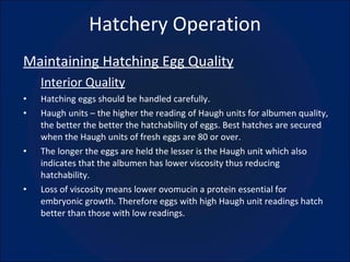 Hatchery Operation Maintaining Hatching Egg Quality Interior Quality Hatching eggs should be handled carefully. Haugh units – the higher the reading of Haugh units for albumen quality, the better the better the hatchability of eggs. Best hatches are secured when the Haugh units of fresh eggs are 80 or over. The longer the eggs are held the lesser is the Haugh unit which also indicates that the albumen has lower viscosity thus reducing hatchability. Loss of viscosity means lower ovomucin a protein essential for embryonic growth. Therefore eggs with high Haugh unit readings hatch better than those with low readings. 