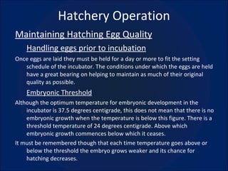 Hatchery Operation Maintaining Hatching Egg Quality Handling eggs prior to incubation Once eggs are laid they must be held for a day or more to fit the setting schedule of the incubator. The conditions under which the eggs are held have a great bearing on helping to maintain as much of their original quality as possible. Embryonic Threshold Although the optimum temperature for embryonic development in the incubator is 37.5 degrees centigrade, this does not mean that there is no embryonic growth when the temperature is below this figure. There is a threshold temperature of 24 degrees centigrade. Above which  embryonic growth commences below which it ceases. It must be remembered though that each time temperature goes above or below the threshold the embryo grows weaker and its chance for hatching decreases. 