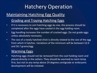 Hatchery Operation Maintaining Hatching Egg Quality Grading and Traying Hatching Eggs If it is necessary to sort hatching eggs by size, the process should be completed after the eggs have cooled in the egg holding room. Egg handling increases the number of cracked eggs. Do not grade eggs unless absolutely necessary. The size of a newly hatched chick is directly related to the size of the egg from which it hatches. Variations of the minimum will be between 52.0 and 56.7 grams/egg. Warming Eggs Hatching eggs should not be removed from the cool holding room and placed directly in the setters. They should be warmed to room temp first, but not to any temp above 24 degrees centigrade or embryonic development will be initiated. 
