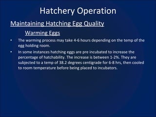Hatchery Operation Maintaining Hatching Egg Quality Warming Eggs The warming process may take 4-6 hours depending on the temp of the egg holding room. In some instances hatching eggs are pre incubated to increase the percentage of hatchability. The increase is between 1-2%. They are subjected to a temp of 38.2 degrees centigrade for 6-8 hrs, then cooled to room temperature before being placed to incubators. 
