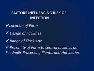 FACTORS INFLUENCING RISK OF      INFECTION Location of Farm Design of Facilities Range of Flock Age Proximity of Farm to central facilities as Feedmills,Processing Plants, and Hatcheries . 