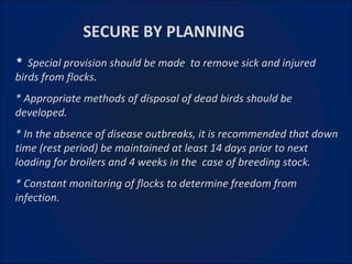 *  Special provision should be made  to remove sick and injured birds from flocks. * Appropriate methods of disposal of dead birds should be developed. * In the absence of disease outbreaks, it is recommended that down time (rest period) be maintained at least 14 days prior to next loading for broilers and 4 weeks in the  case of breeding stock. * Constant monitoring of flocks to determine freedom from infection. SECURE BY PLANNING 