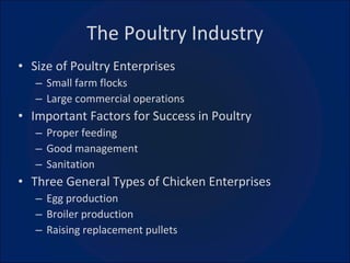 The Poultry Industry Size of Poultry Enterprises Small farm flocks Large commercial operations Important Factors for Success in Poultry Proper feeding Good management Sanitation Three General Types of Chicken Enterprises Egg production Broiler production Raising replacement pullets 
