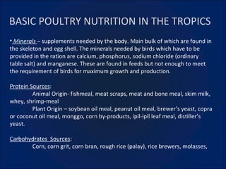 BASIC POULTRY NUTRITION IN THE TROPICS Minerals  –  supplements needed by the body. Main bulk of which are found in the skeleton and egg shell. The minerals needed by birds which have to be provided in the ration are calcium, phosphorus, sodium chloride (ordinary table salt) and manganese. These are found in feeds but not enough to meet the requirement of birds for maximum growth and production. Protein Sources :  Animal Origin- fishmeal, meat scraps, meat and bone meal, skim milk, whey, shrimp-meal Plant Origin – soybean oil meal, peanut oil meal, brewer’s yeast, copra or coconut oil meal, monggo, corn by-products, ipil-ipil leaf meal, distiller’s yeast. Carbohydrates  Sources : Corn, corn grit, corn bran, rough rice (palay), rice brewers, molasses, 