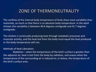 ZONE OF THERMONEUTRALITY The confines of the internal body temperature of birds show more variability than mammals, so much so that there is no absolute body temperature. In the adult chicken this variability is between 40.6 degrees centigrade and 41.7 degrees centigrade. The chicken is continually producing heat through metabolic processes and muscular activity, and the heat lost from the body must equal the heat produced or the body temperature will rise. Methods of Heat Liberation: Radiation –  when the temperature of the bird’s surface is greater than the adjacent air, heat is lost from the body by radiation, and ceases when the temperature of the surrounding air is reduced to, or below, the temperature of the bird’s surface area. 