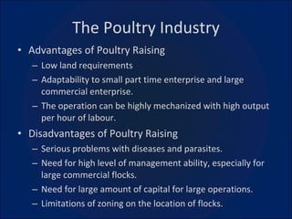 The Poultry Industry Advantages of Poultry Raising Low land requirements Adaptability to small part time enterprise and large commercial enterprise. The operation can be highly mechanized with high output per hour of labour. Disadvantages of Poultry Raising Serious problems with diseases and parasites. Need for high level of management ability, especially for large commercial flocks. Need for large amount of capital for large operations. Limitations of zoning on the location of flocks. 