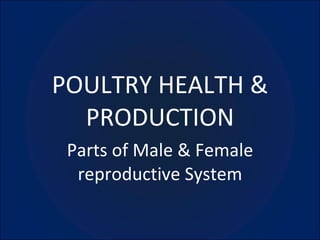 POULTRY HEALTH & PRODUCTION Parts of Male & Female reproductive System 