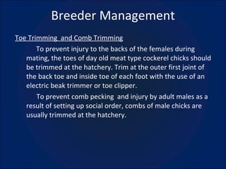 Breeder Management Toe Trimming  and Comb Trimming To prevent injury to the backs of the females during mating, the toes of day old meat type cockerel chicks should be trimmed at the hatchery. Trim at the outer first joint of the back toe and inside toe of each foot with the use of an electric beak trimmer or toe clipper.   To prevent comb pecking  and injury by adult males as a result of setting up social order, combs of male chicks are usually trimmed at the hatchery. 