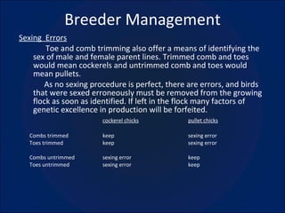 Breeder Management Sexing  Errors Toe and comb trimming also offer a means of identifying the sex of male and female parent lines. Trimmed comb and toes would mean cockerels and untrimmed comb and toes would mean pullets. As no sexing procedure is perfect, there are errors, and birds that were sexed erroneously must be removed from the growing flock as soon as identified. If left in the flock many factors of genetic excellence in production will be forfeited. cockerel chicks pullet chicks Combs trimmed keep sexing error Toes trimmed keep sexing error Combs untrimmed sexing error keep Toes untrimmed sexing error keep 