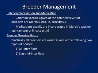 Breeder Management Hatchery Vaccination and Medication Common vaccines given at the hatchery level for breeders are Marek's, ncd, ib, coccidiosis.   Medications usually are incorporated in Marek’s vaccine (gentamycin or lincospectin) Breeder Growing House Practically all breeders are raised in one of the following two types of houses: 1) All-litter floor 2) Slat-and-litter floor 