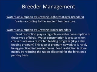 Breeder Management Water Consumption by Growing Leghorns (Layer Breeders) Varies according to the ambient temperature. Water Consumption by Growing Broiler Breeders Feed restriction plays a big role on water consumption of these type of birds.  Water consumption is greater when chickens are on a restricted feeding program (skip a day feeding program) This type of program nowadays is rarely being practiced in breeder farms. Feed restriction is done mainly by reducing the ration allocated for the birds on a per day basis. 