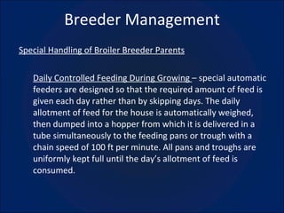 Breeder Management Special Handling of Broiler Breeder Parents Daily Controlled Feeding During Growing  – special automatic feeders are designed so that the required amount of feed is given each day rather than by skipping days. The daily allotment of feed for the house is automatically weighed, then dumped into a hopper from which it is delivered in a tube simultaneously to the feeding pans or trough with a chain speed of 100 ft per minute. All pans and troughs are uniformly kept full until the day’s allotment of feed is consumed. 