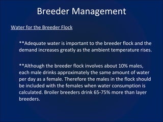 Breeder Management Water for the Breeder Flock **Adequate water is important to the breeder flock and the demand increases greatly as the ambient temperature rises. **Although the breeder flock involves about 10% males, each male drinks approximately the same amount of water per day as a female. Therefore the males in the flock should be included with the females when water consumption is calculated. Broiler breeders drink 65-75% more than layer breeders. 