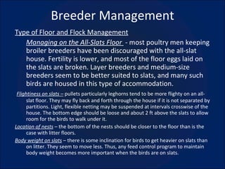 Breeder Management Type of Floor and Flock Management Managing on the All-Slats Floor  - most poultry men keeping broiler breeders have been discouraged with the all-slat house. Fertility is lower, and most of the floor eggs laid on the slats are broken. Layer breeders and medium-size breeders seem to be better suited to slats, and many such birds are housed in this type of accommodation. Flightiness on slats –  pullets particularly leghorns tend to be more flighty on an all-slat floor. They may fly back and forth through the house if it is not separated by partitions. Light, flexible netting may be suspended at intervals crosswise of the house. The bottom edge should be loose and about 2 ft above the slats to allow room for the birds to walk under it. Location of nests  – the bottom of the nests should be closer to the floor than is the case with litter floors. Body weight on slats  – there is some inclination for birds to get heavier on slats than on litter. They seem to move less. Thus, any feed control program to maintain body weight becomes more important when the birds are on slats. 