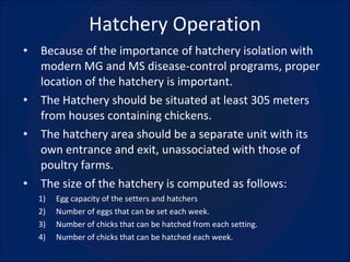 Hatchery Operation Because of the importance of hatchery isolation with modern MG and MS disease-control programs, proper location of the hatchery is important. The Hatchery should be situated at least 305 meters from houses containing chickens. The hatchery area should be a separate unit with its own entrance and exit, unassociated with those of poultry farms. The size of the hatchery is computed as follows: Egg capacity of the setters and hatchers Number of eggs that can be set each week. Number of chicks that can be hatched from each setting. Number of chicks that can be hatched each week. 