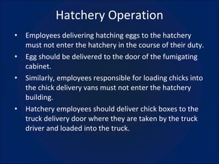 Hatchery Operation Employees delivering hatching eggs to the hatchery must not enter the hatchery in the course of their duty. Egg should be delivered to the door of the fumigating cabinet. Similarly, employees responsible for loading chicks into the chick delivery vans must not enter the hatchery building. Hatchery employees should deliver chick boxes to the truck delivery door where they are taken by the truck driver and loaded into the truck. 