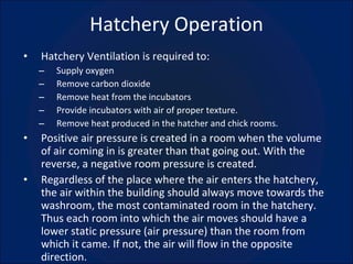 Hatchery Operation Hatchery Ventilation is required to: Supply oxygen Remove carbon dioxide Remove heat from the incubators Provide incubators with air of proper texture. Remove heat produced in the hatcher and chick rooms. Positive air pressure is created in a room when the volume of air coming in is greater than that going out. With the reverse, a negative room pressure is created. Regardless of the place where the air enters the hatchery, the air within the building should always move towards the washroom, the most contaminated room in the hatchery. Thus each room into which the air moves should have a lower static pressure (air pressure) than the room from which it came. If not, the air will flow in the opposite direction. 