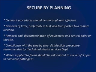   SECURE BY PLANNING * Cleanout procedures should be thorough and effective. * Removal of litter, preferably in bulk and transported to a remote location. * Removal and  decontamination of equipment at a central point on the site. * Compliance with the step by step  disinfection  procedure recommended by the Animal Health services Dept. * Water supplied to farms should be chlorinated to a level of 5 ppm to eliminate pathogens.   