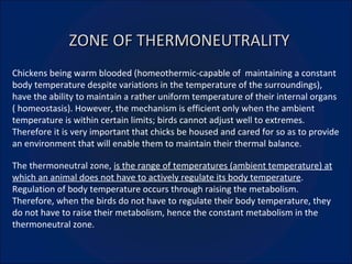 ZONE OF THERMONEUTRALITY Chickens being warm blooded (homeothermic-capable of  maintaining a constant body temperature despite variations in the temperature of the surroundings), have the ability to maintain a rather uniform temperature of their internal organs ( homeostasis). However, the mechanism is efficient only when the ambient temperature is within certain limits; birds cannot adjust well to extremes. Therefore it is very important that chicks be housed and cared for so as to provide an environment that will enable them to maintain their thermal balance. The thermoneutral zone,  is the range of temperatures (ambient temperature) at which an animal does not have to actively regulate its body temperature . Regulation of body temperature occurs through raising the metabolism. Therefore, when the birds do not have to regulate their body temperature, they do not have to raise their metabolism, hence the constant metabolism in the thermoneutral zone. 