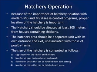 Hatchery Operation ,[object Object],[object Object],[object Object],[object Object],[object Object],[object Object],[object Object],[object Object]