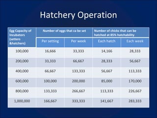Hatchery Operation Egg Capacity of Incubators (setters &hatchers) Number of eggs that ca be set Number of chicks that can be hatched at 85% hatchability Per setting Per week Each hatch Each week 100,000 16,666 33,333 14,166 28,333 200,000 33,333 66,667 28,333 56,667 400,000 66,667 133,333 56,667 113,333 600,000 100,000 200,000 85,000 170,000 800,000 133,333 266,667 113,333 226,667 1,000,000 166,667 333,333 141,667 283,333 