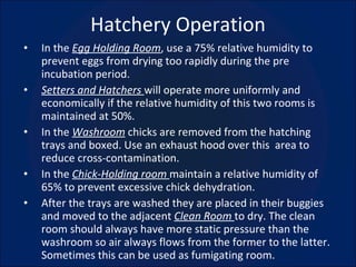 Hatchery Operation ,[object Object],[object Object],[object Object],[object Object],[object Object]